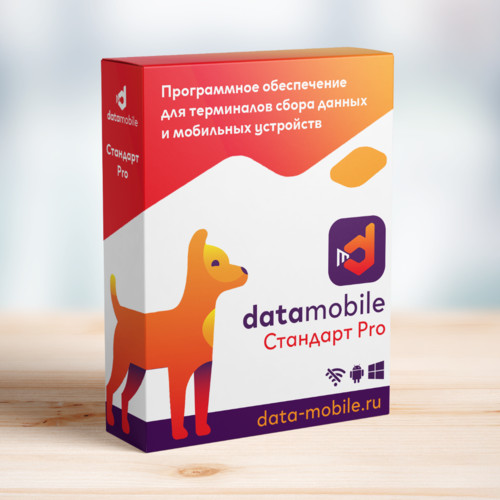 ПО DataMobile, версия Стандарт Pro в Брянске