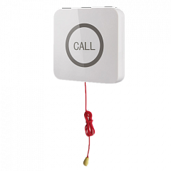 Кнопка вызова iBells 310S влагозащищенная со шнуром для МГН в Брянске