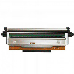Печатающая головка 203 dpi для принтера АТОЛ TT621 в Брянске